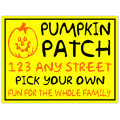 Pumpkin Patch 101