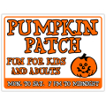 Pumpkin Patch 104