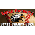 Baseball Banner 102