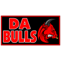 Da Bulls Banner 101